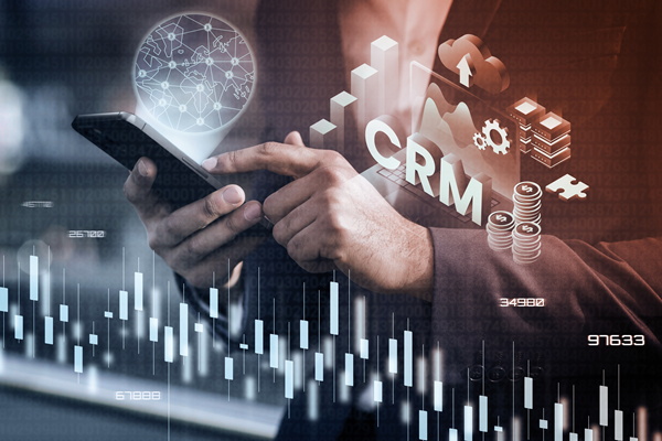 Professional CRM Software Development Services in Bangalore